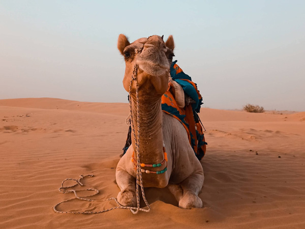 کویر ابوزیدآباد